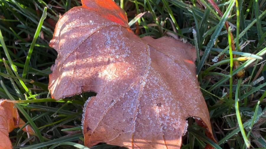 a-look-ahead:-october’s-weather-outlook