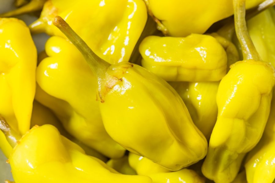 mezzetta-recalls-pepperoncini-variety-after-tiktok-user-claims-she-found-mouse-in-jar
