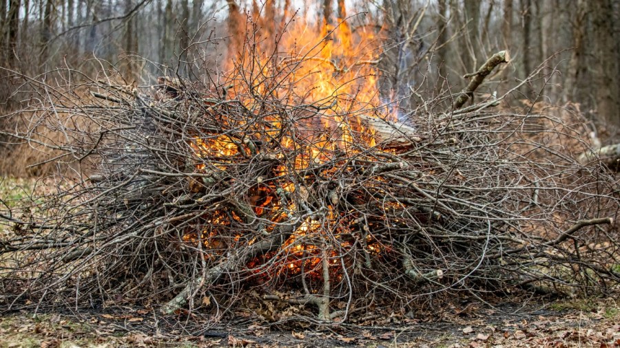 burn-ban-now-in-effect:-the-do’s-and-don’ts