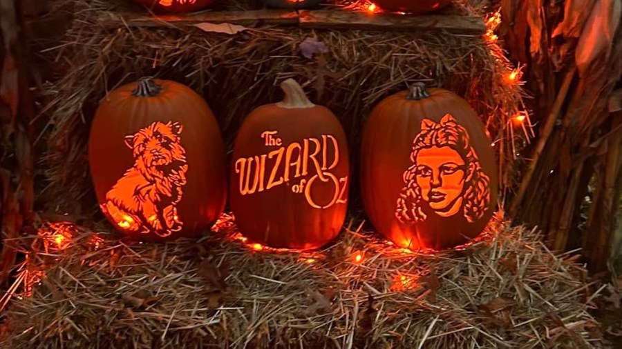 ty’s-pumpkin-walk-keeps-growing-and-giving-back