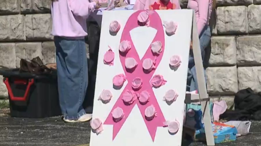 zeta-tau-alpha-carnival-raises-money-for-breast-cancer-awareness