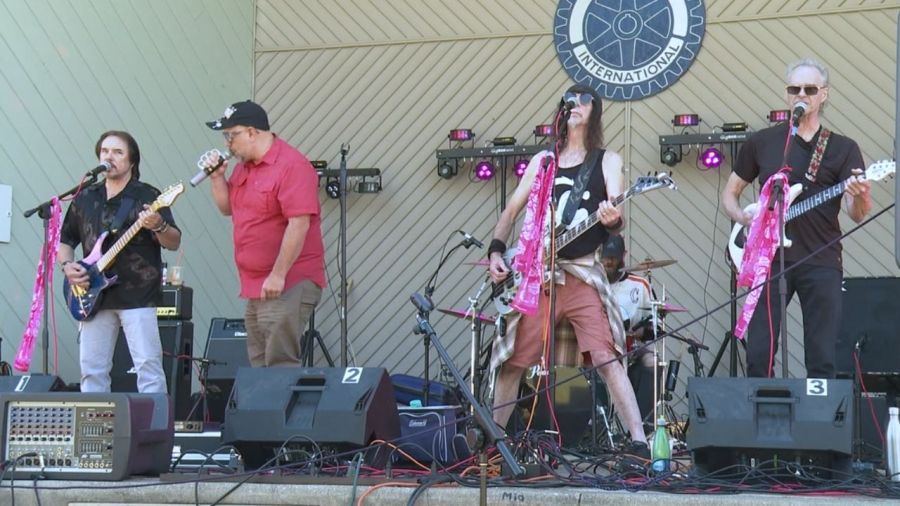 austintown-turns-pink-for-charity-music-festival