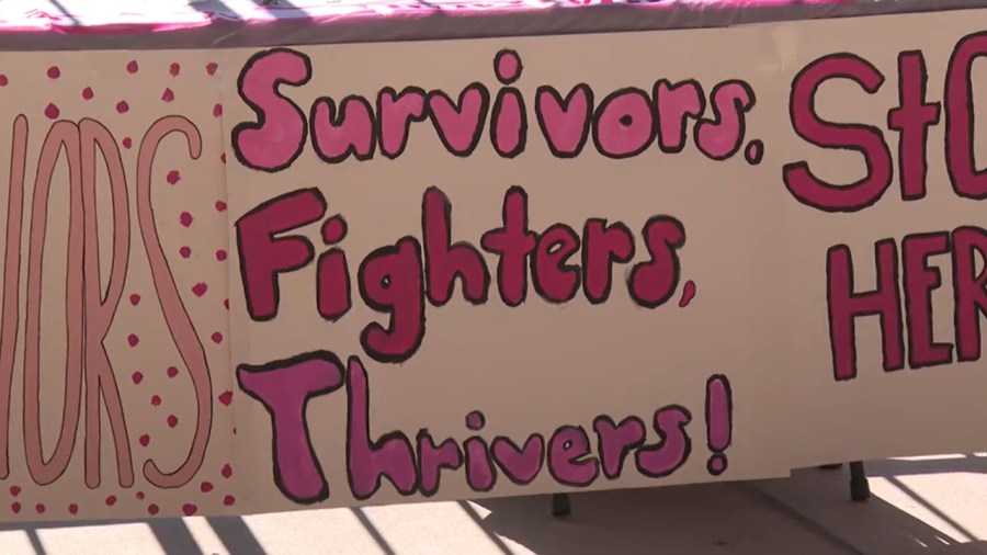 breast-cancer-survivors-and-fighters-walk-for-charity
