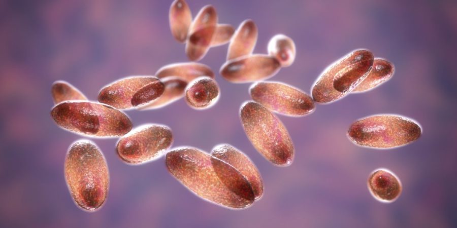state-department-monitoring-reports-of-suspected-plague-death-in-russia