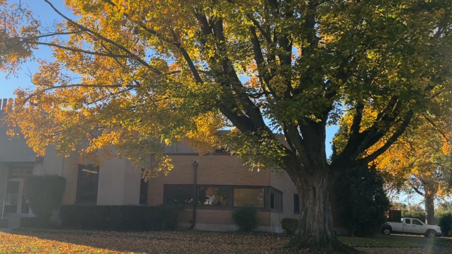 fall-landscape-basics:-what-to-do-before-winter