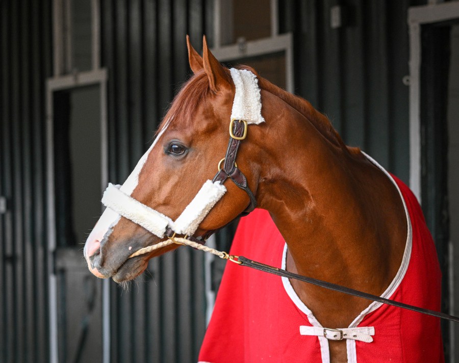 live-horse-racing-returns-to-hollywood-gaming-this-month