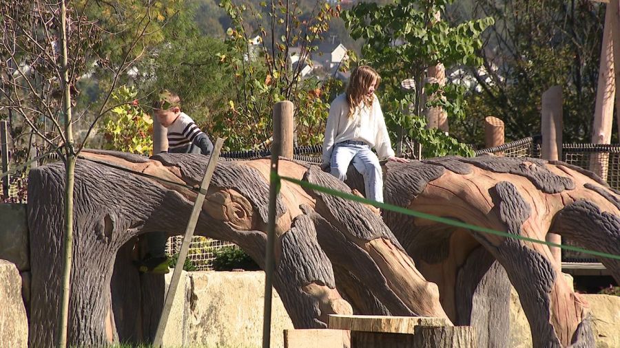 mill-creek-opens-new-children’s-garden-at-fellows