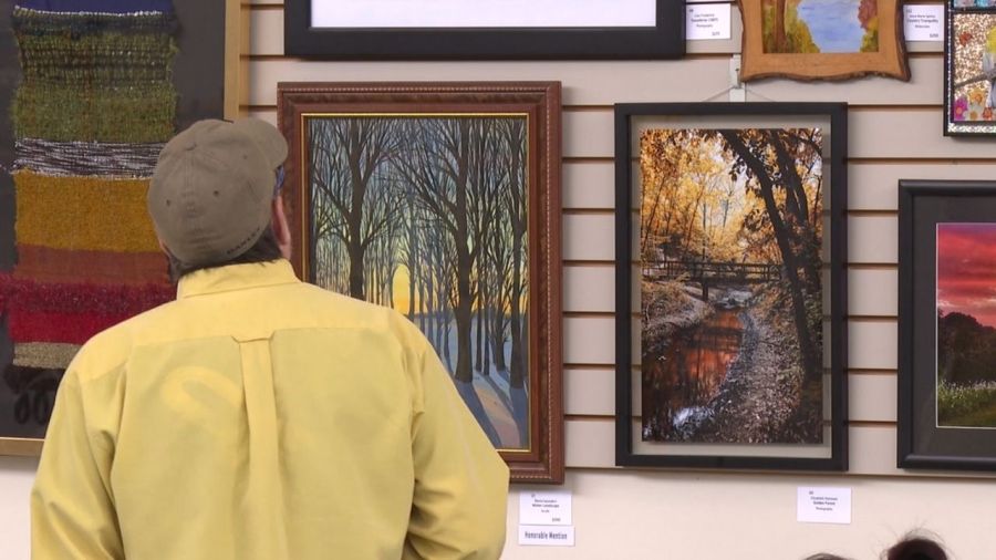 art-show-judged-by-art-lovers-in-youngstown