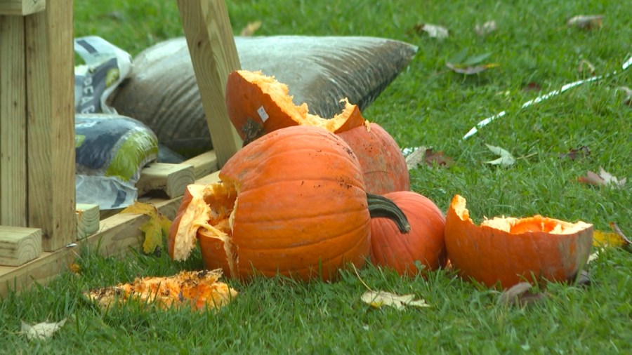 local-school’s-pumpkin-catapult-mixes-education-and-fun