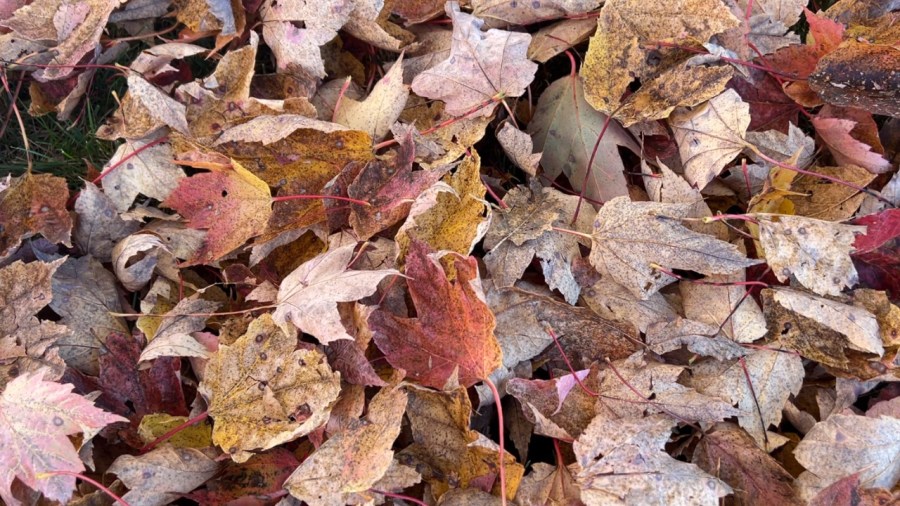 rain,-wind,-blast-of-cold-air-set-to-hit-the-valley