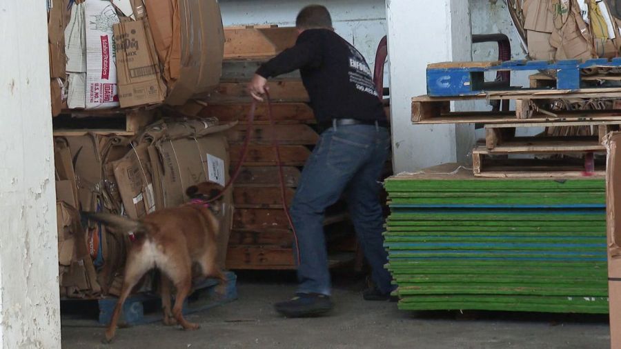 private-k-9-teams-offer-detection-services-in-valley