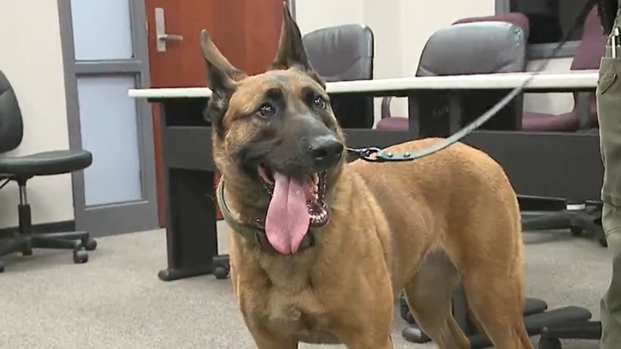 k-9,-first-responders-to-be-honored-nationally