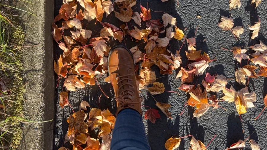 fall-foliage-is-set-to-reach-its-peak-soon