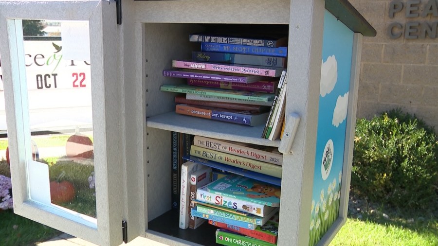 new-little-free-library-in-farrell-makes-reading-more-accessible