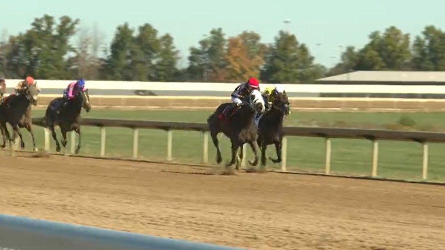place-your-bets:-horse-racing-is-back-at-hollywood-gaming