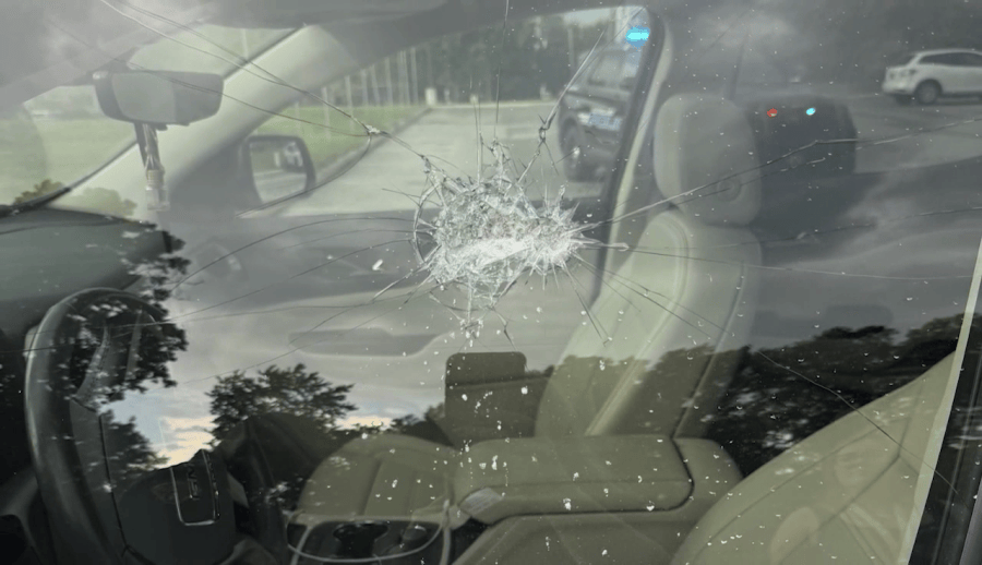 43-cars-targeted-in-little-italy-break-in-spree
