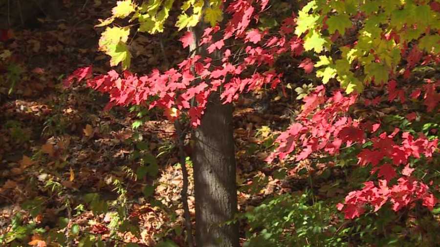 roads-in-mill-creek-park-to-close-for-resurfacing