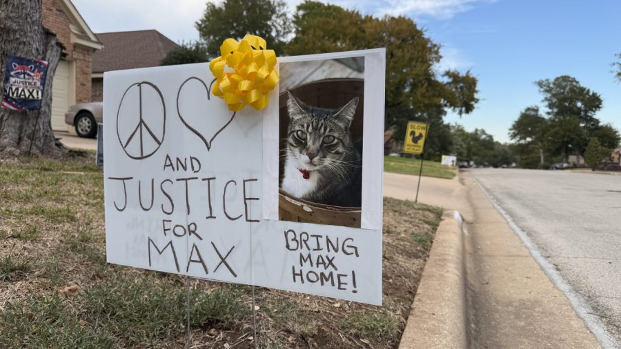 texas-family-accuses-neighbor-of-stealing,-dumping-cat-100-miles-away