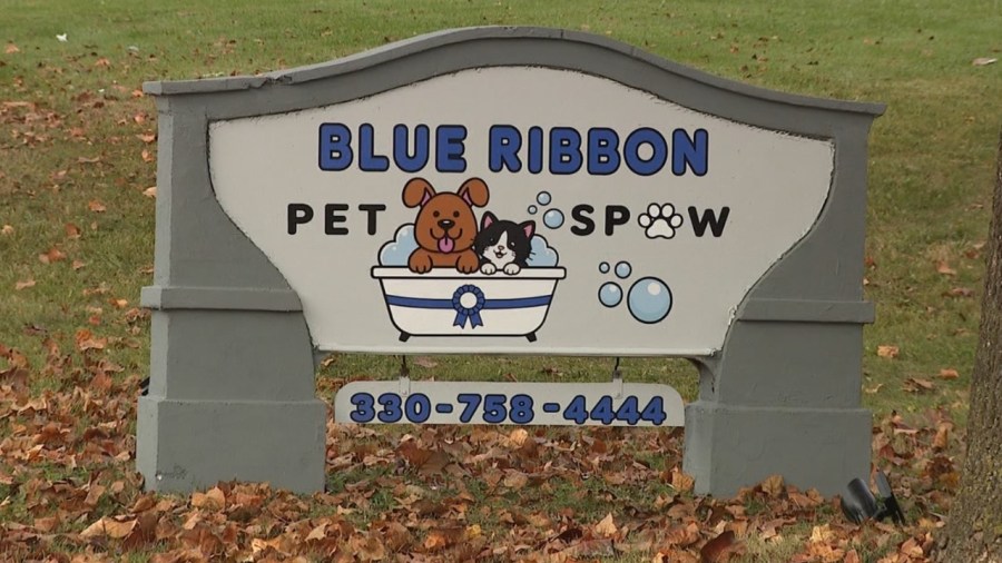 new-pet-‘spaw’-opens-in-boardman