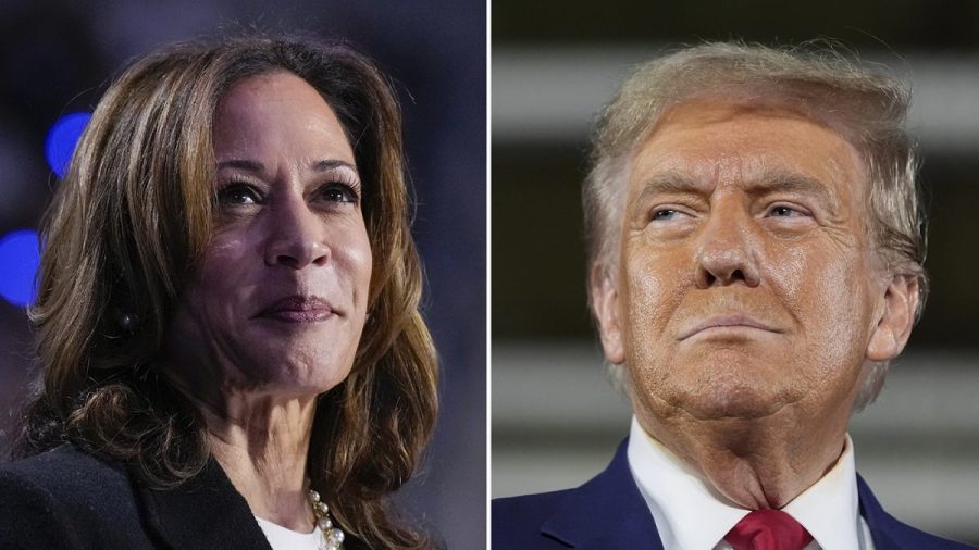 harris-advises-democrats-against-attempting-to-impeach-trump
