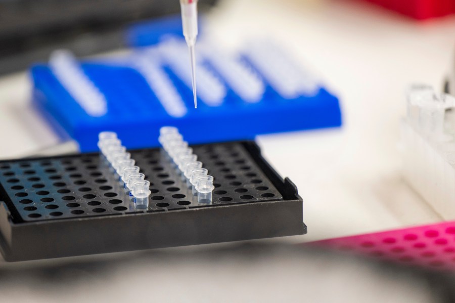 us-bans-imports-from-3-chinese-biotech-companies-over-forced-labor-allegations