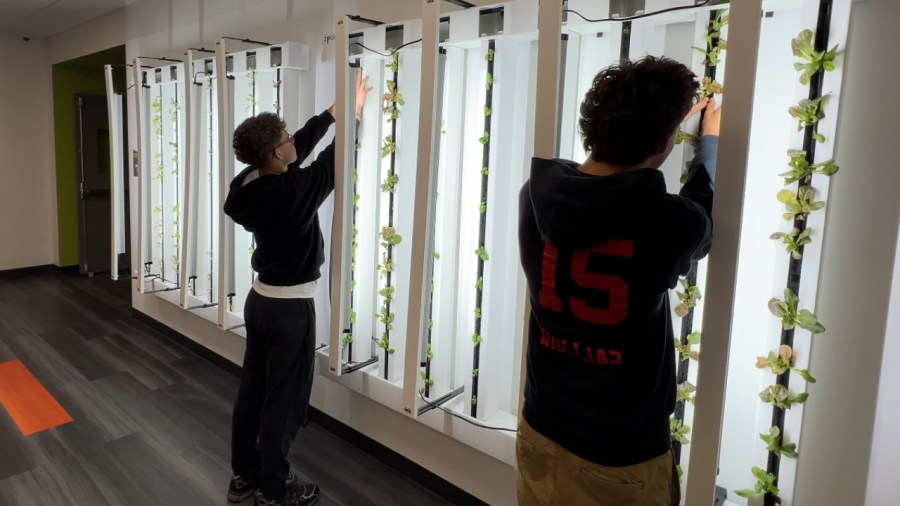 students-learn-farm-to-table-by-growing-their-own-produce