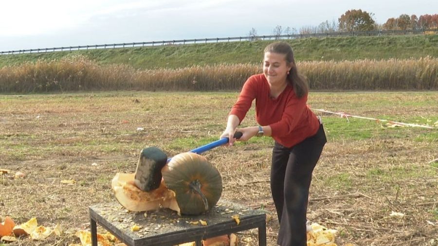 kuchta-farms-hosts-pumpkin-destruction-weekend